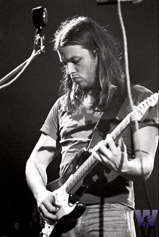 davidgilmour.jpg